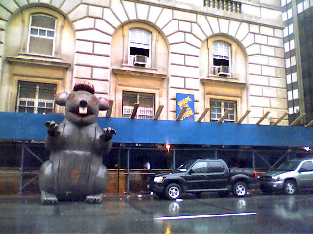 Rat Next to the Board of Education Building