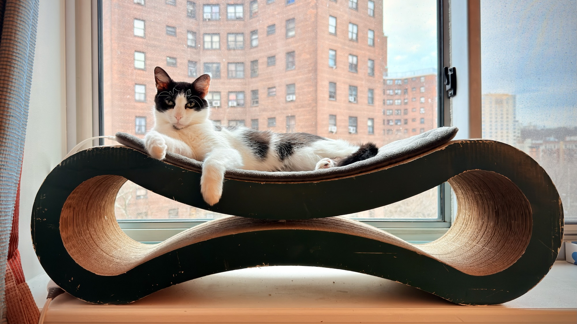 In the New Year 2026