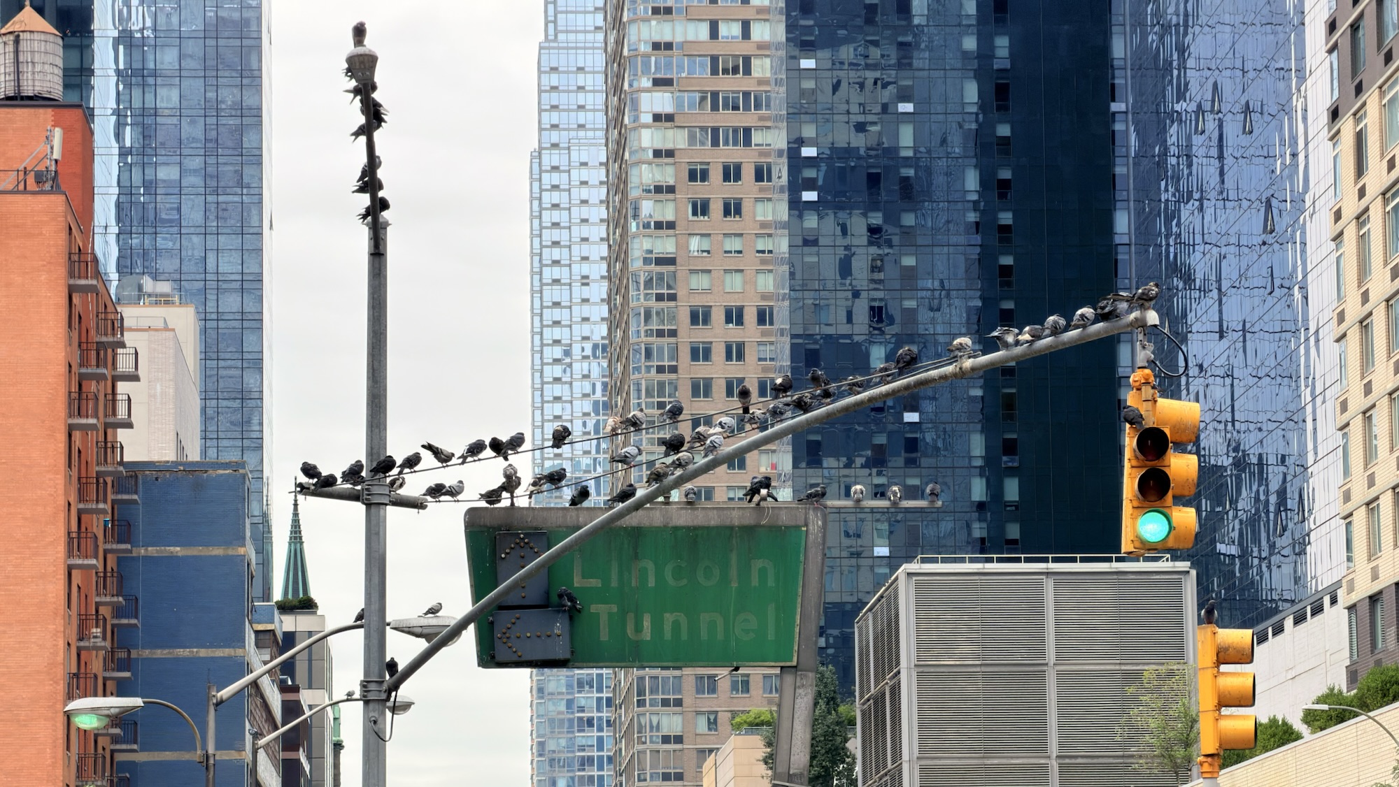 Port Authority Perch